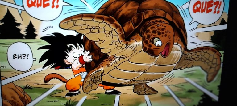 20250331_192706 GOKU CON LA TORTUGA.jpg