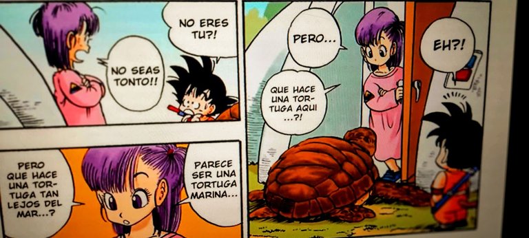 20250331_192736-EDIT TORUGA CON BULMA.jpg