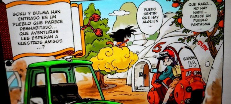ENTRAN ALPUEBLO DE ULLON.jpg