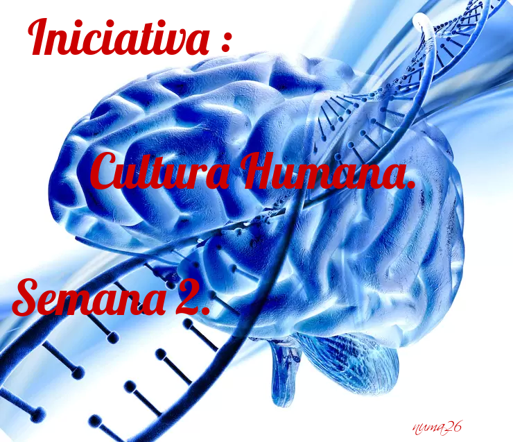 imageedit_265_9358076516.png