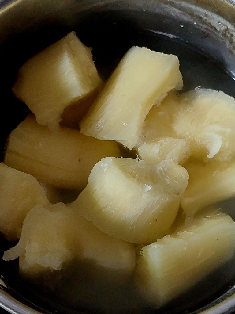 20250803_085643.jpg