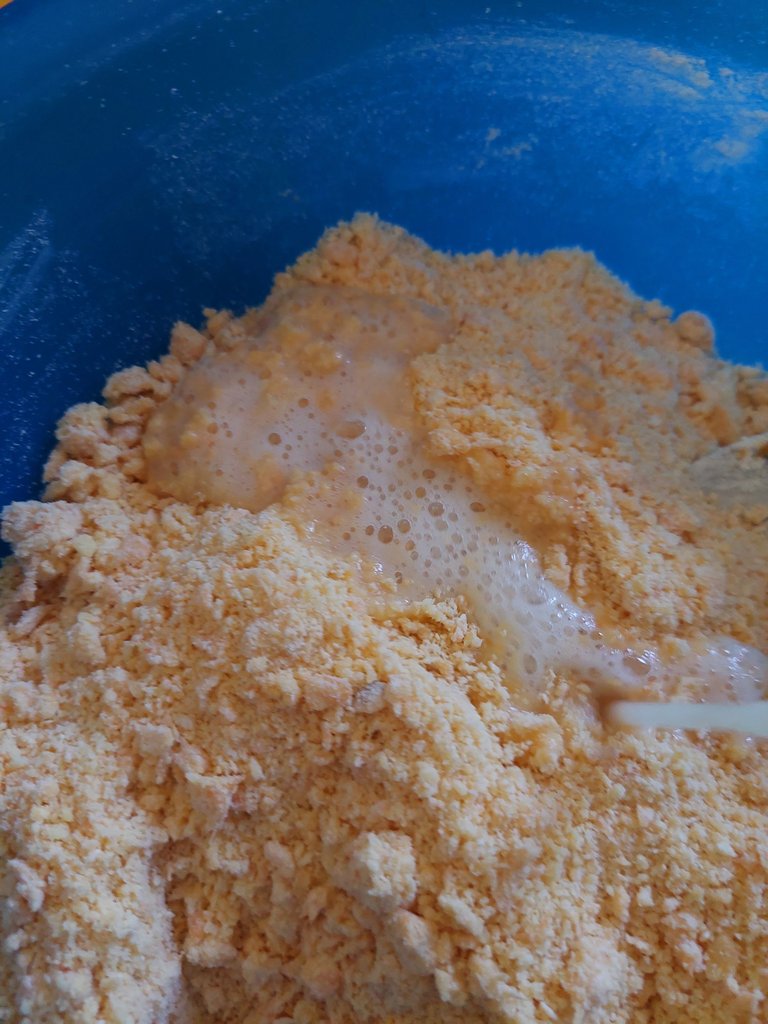 20250528_114706.jpg