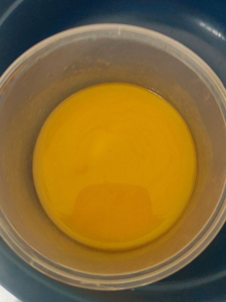 20250404_095610.jpg