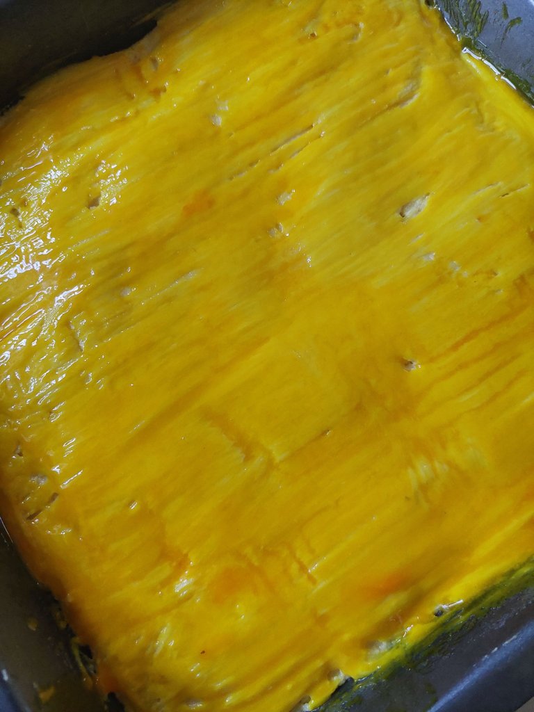 20250711_111147.jpg