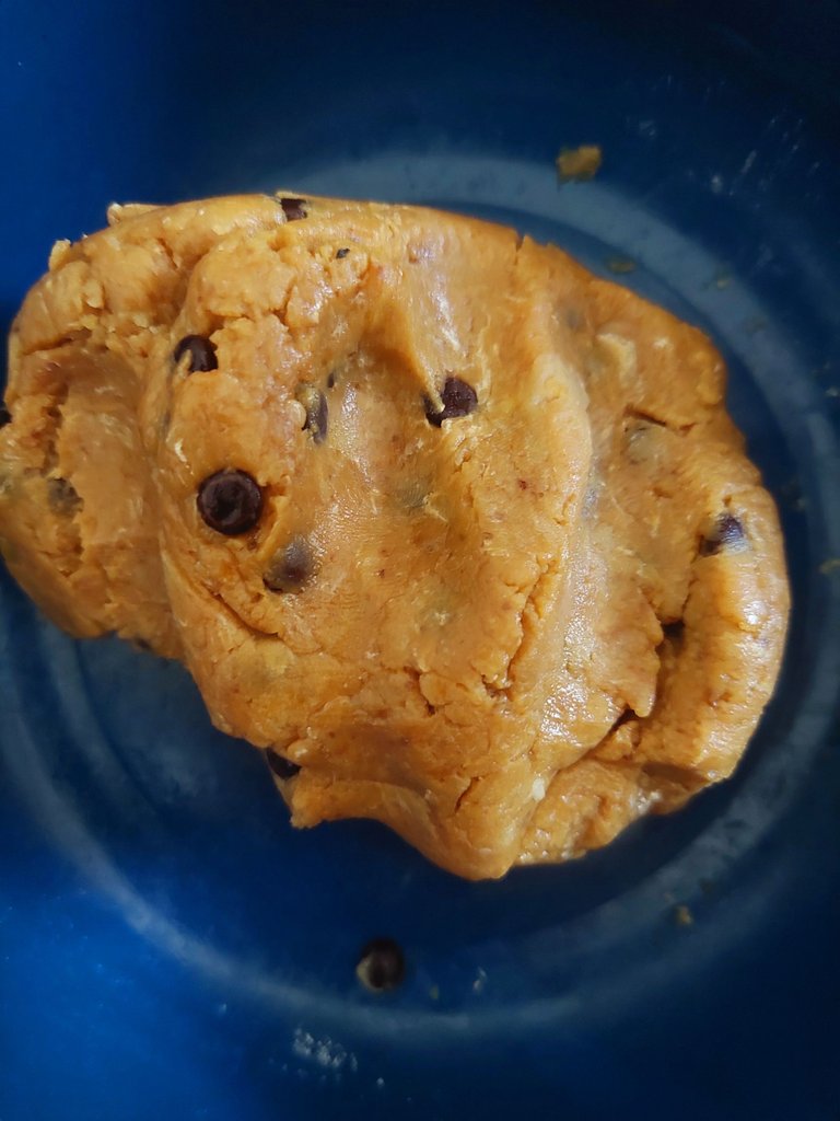20250404_100552.jpg