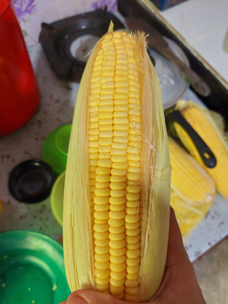 20250427_083240.jpg
