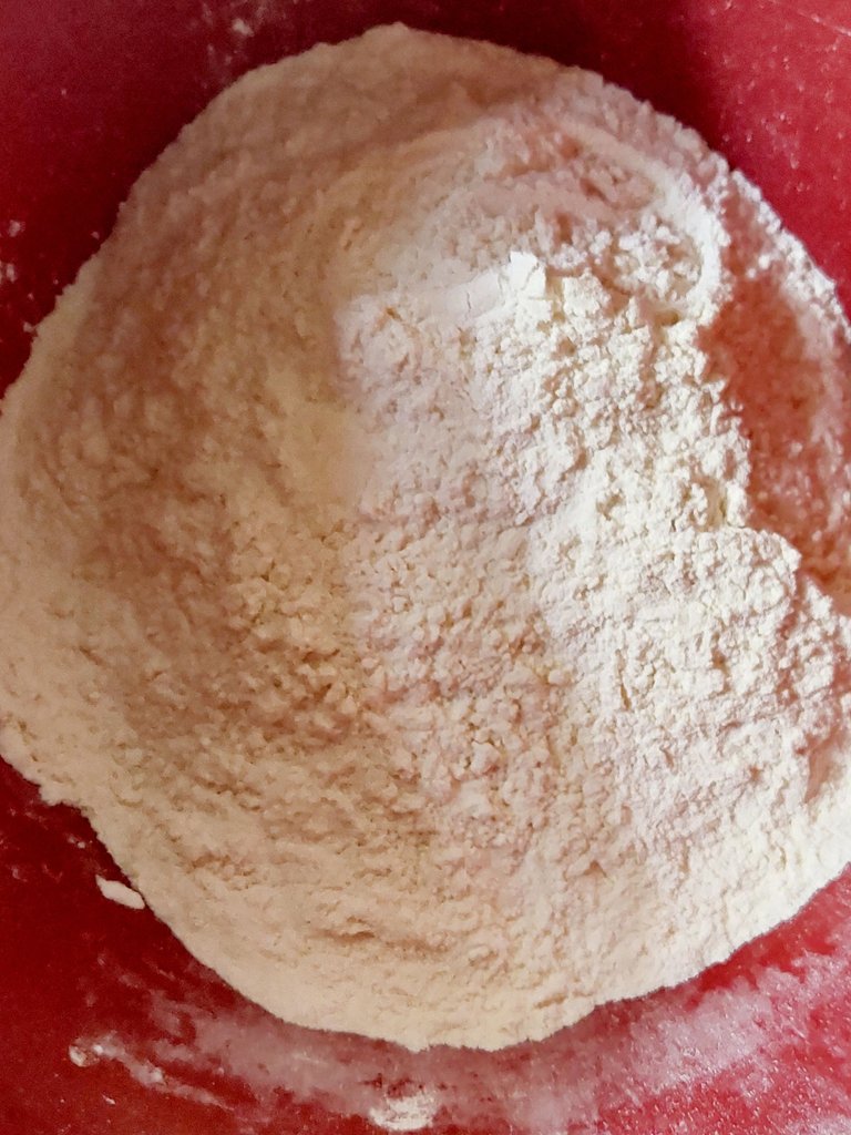 20250805_090903.jpg