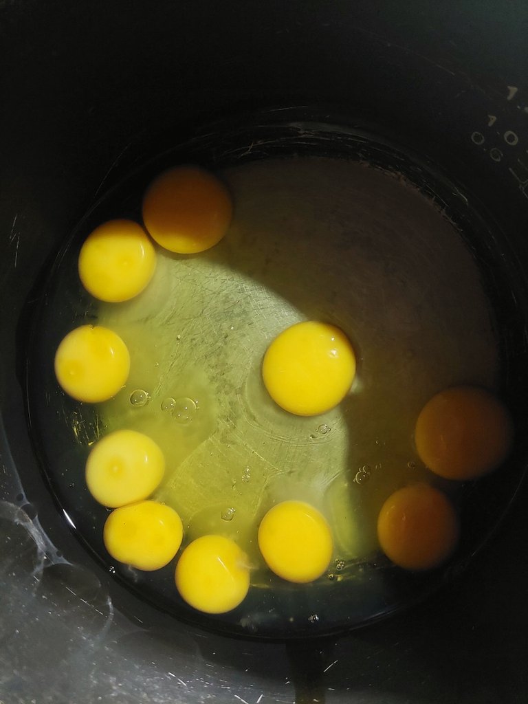 20250329_081155.jpg