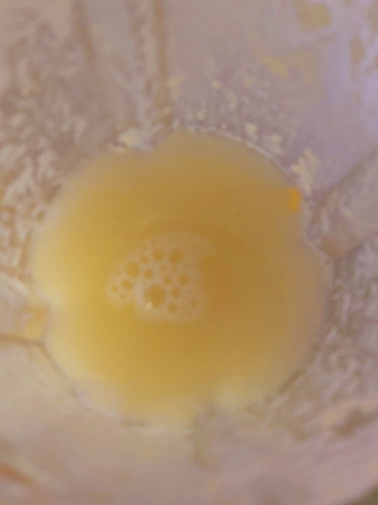 20250427_095821.jpg