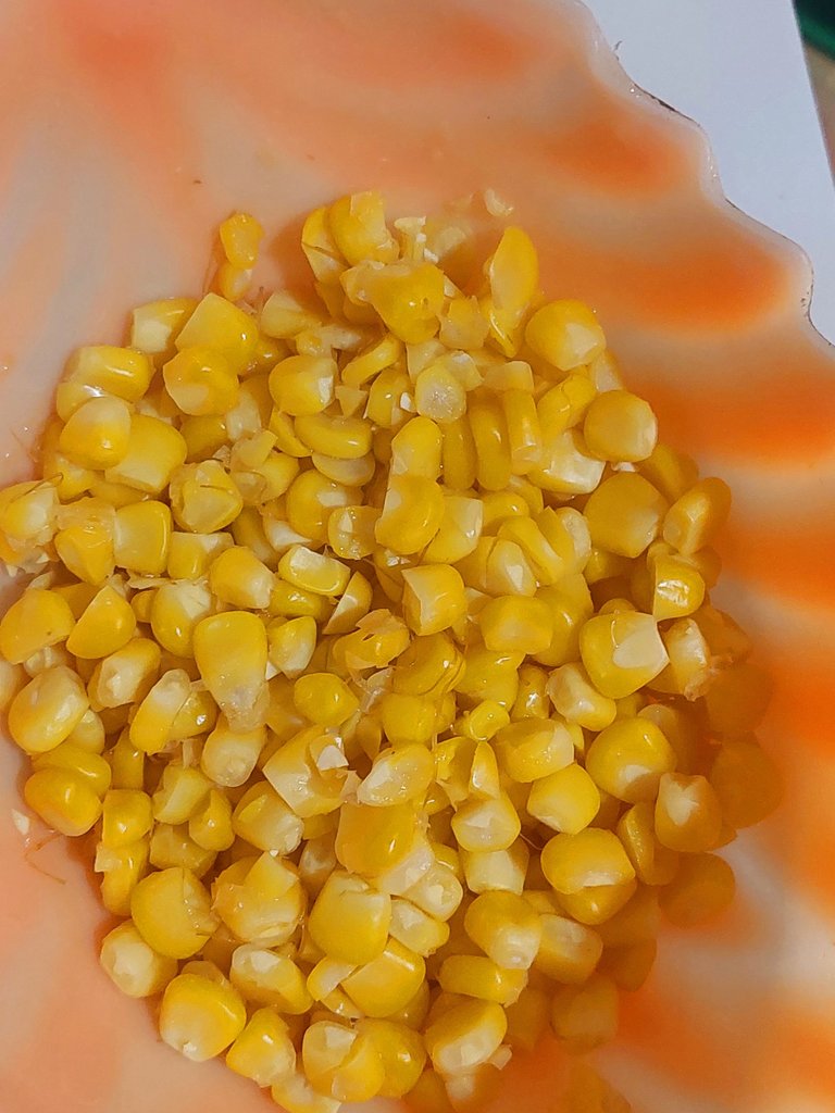 20250626_095434.jpg