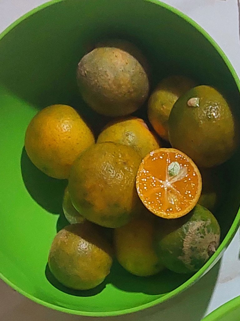 20250825_102638.jpg
