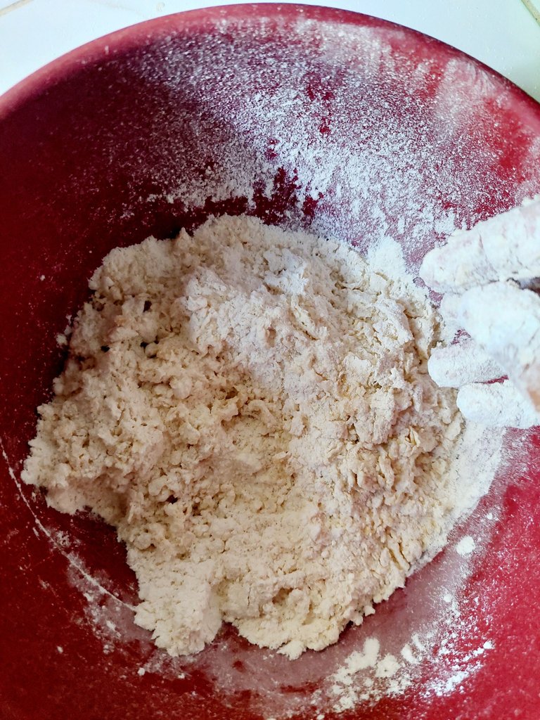 20250805_091509.jpg