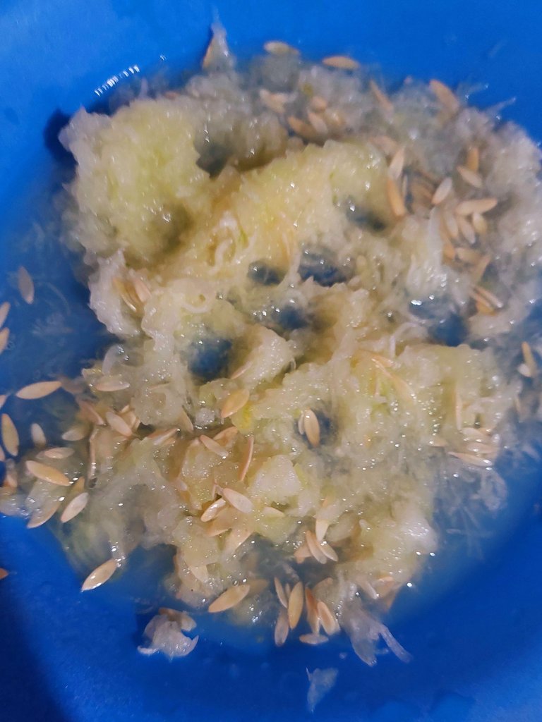 20250708_100416.jpg