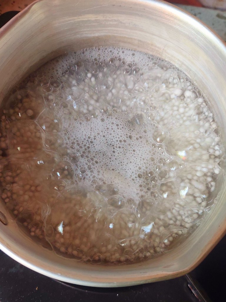 20250827_095513.jpg