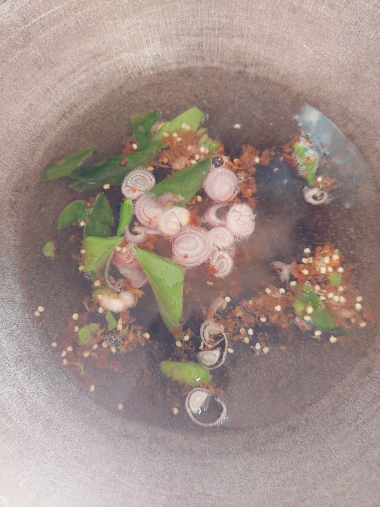 20240720_100048.jpg