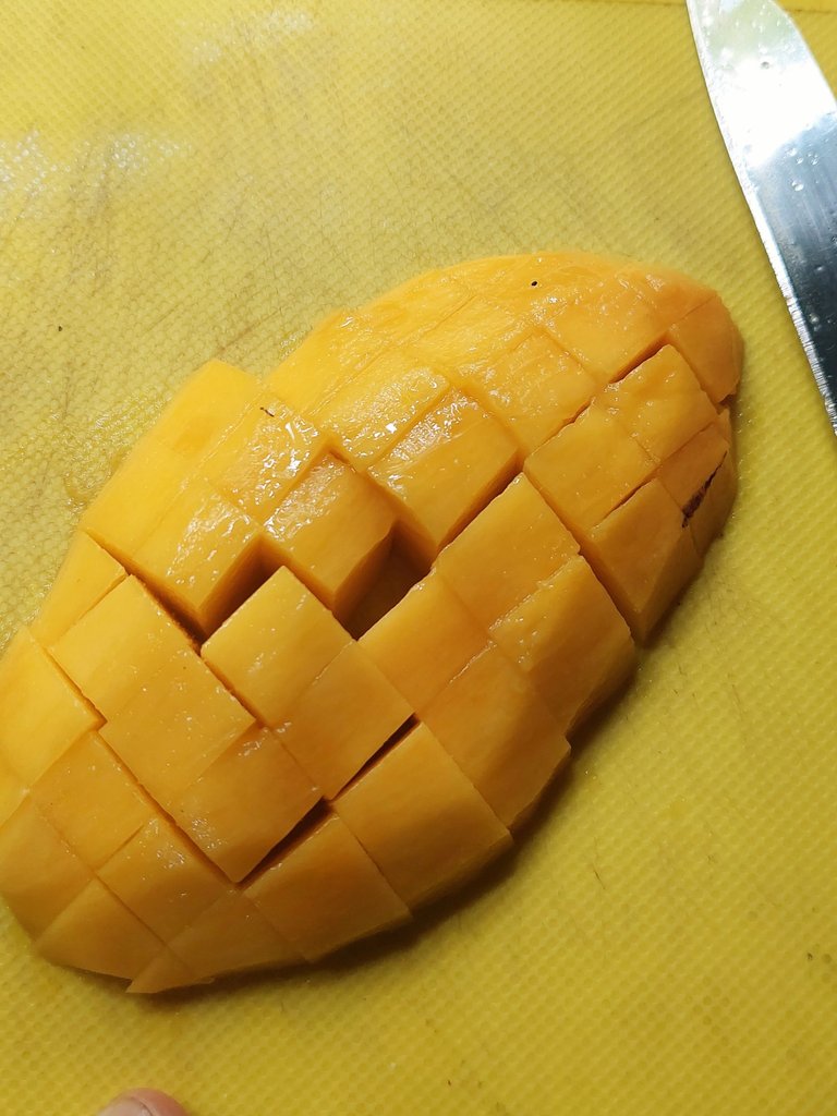 20250612_093147.jpg