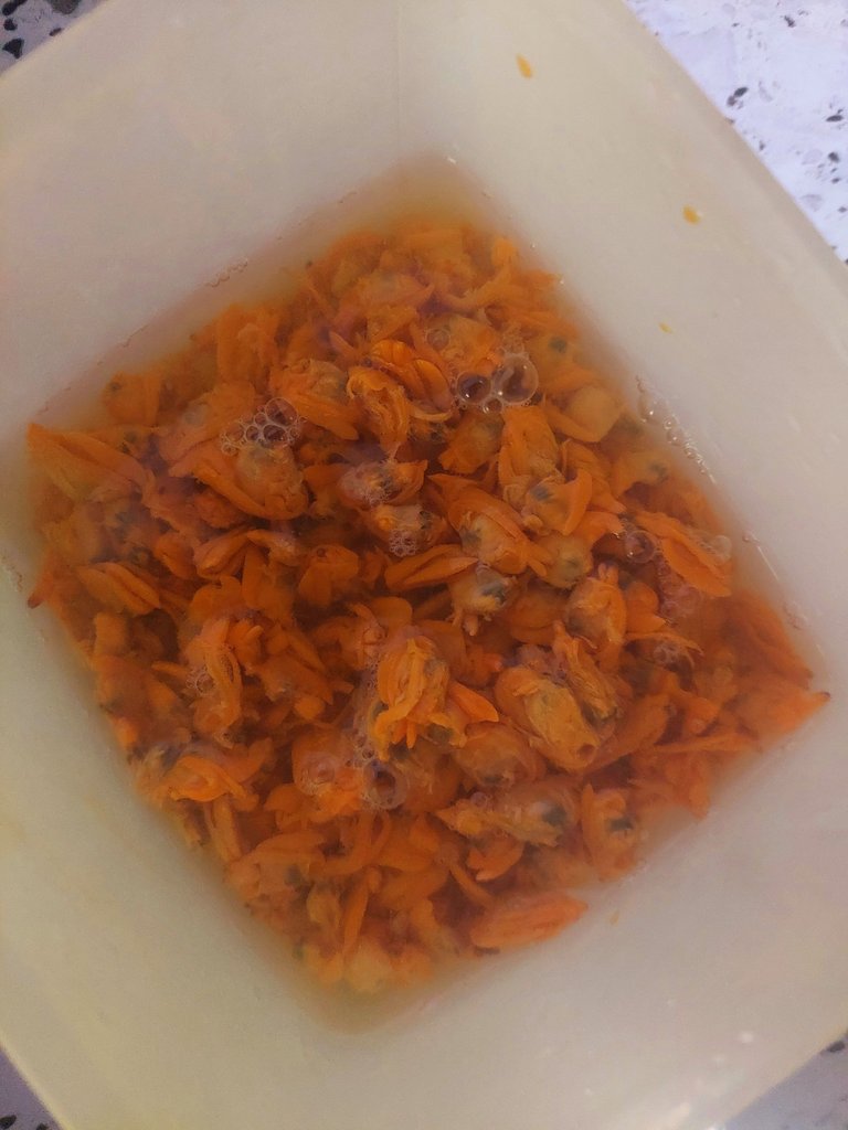 20250416_105636.jpg