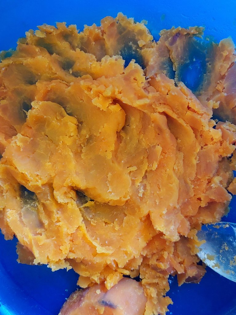 20250528_113233.jpg
