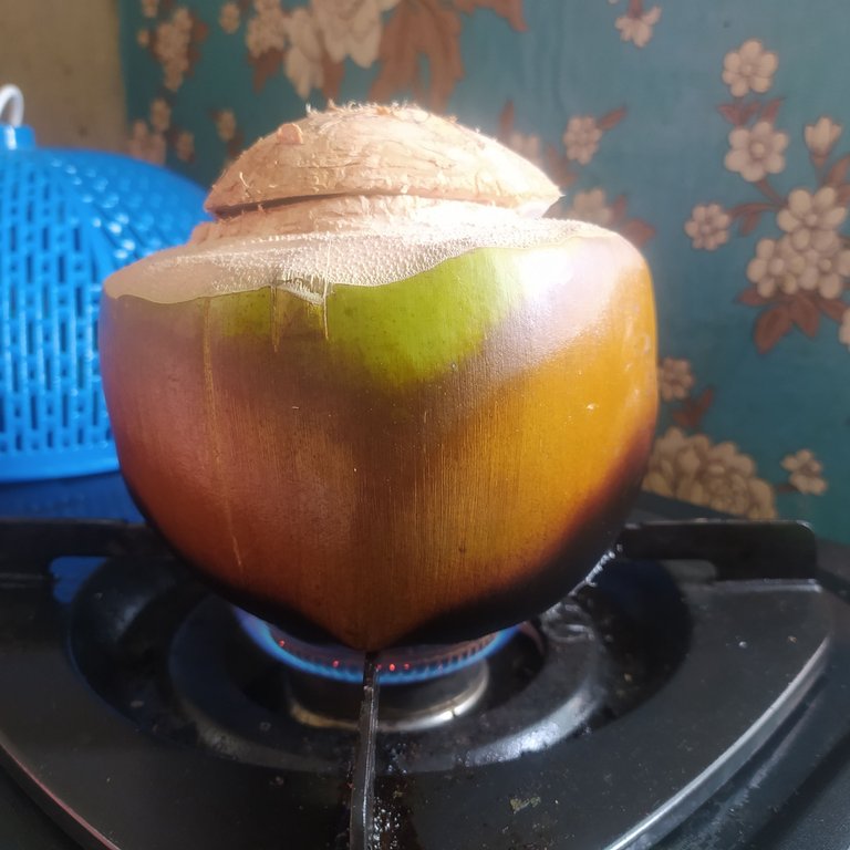 coconut.jpg