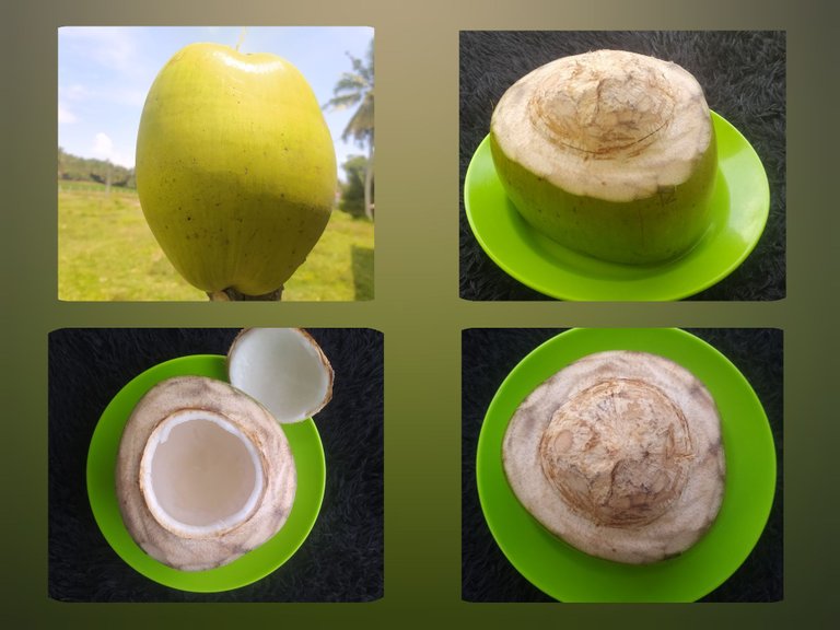 coconut.jpg