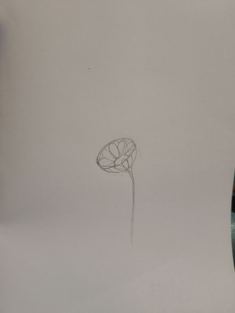 1000246166.jpg