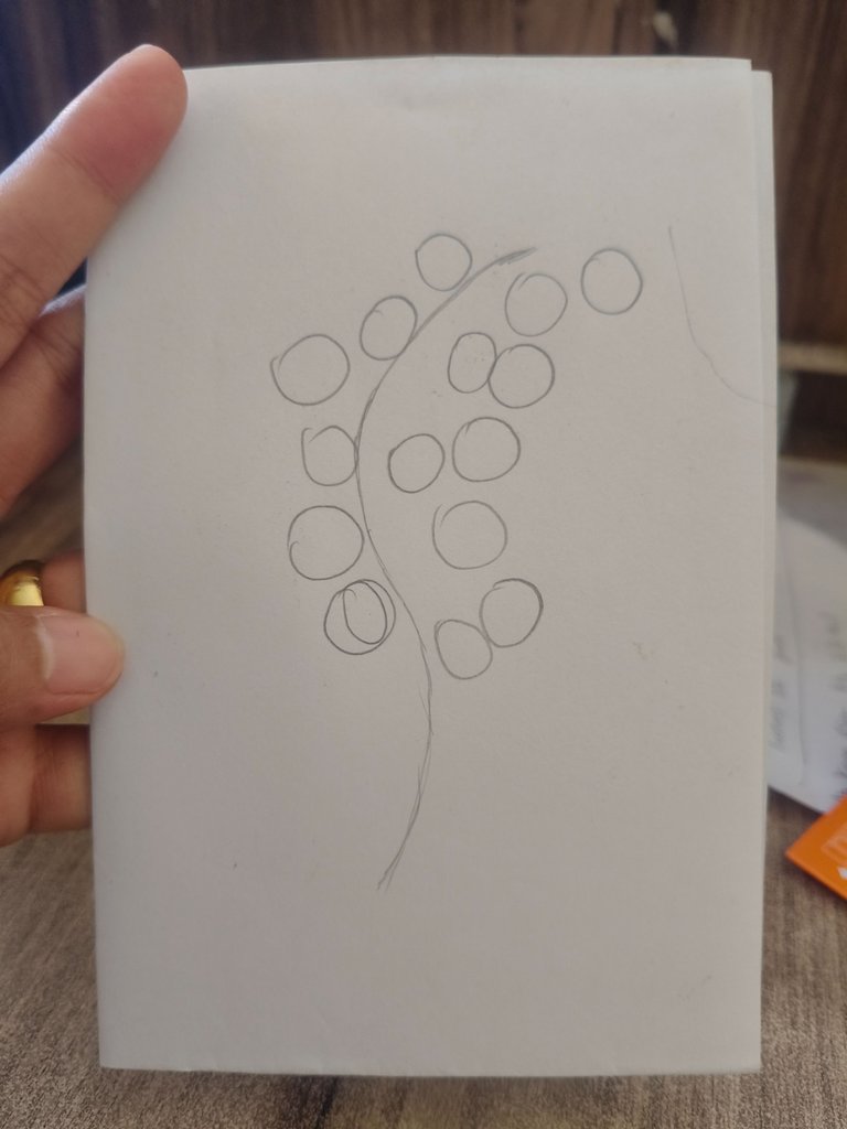 1000247324.jpg