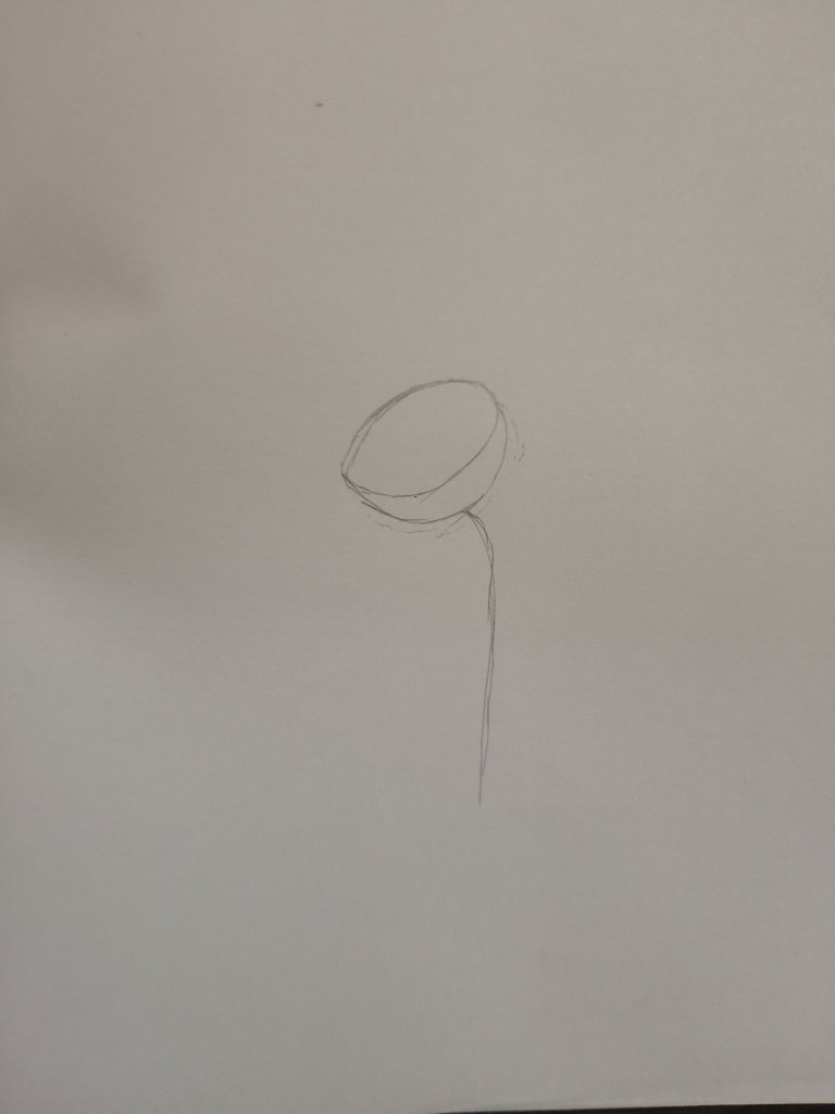 1000246165.jpg