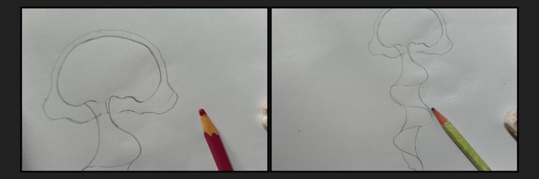 1000118626.jpg