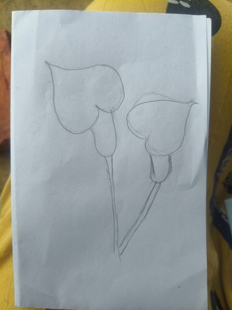 1000249569.jpg