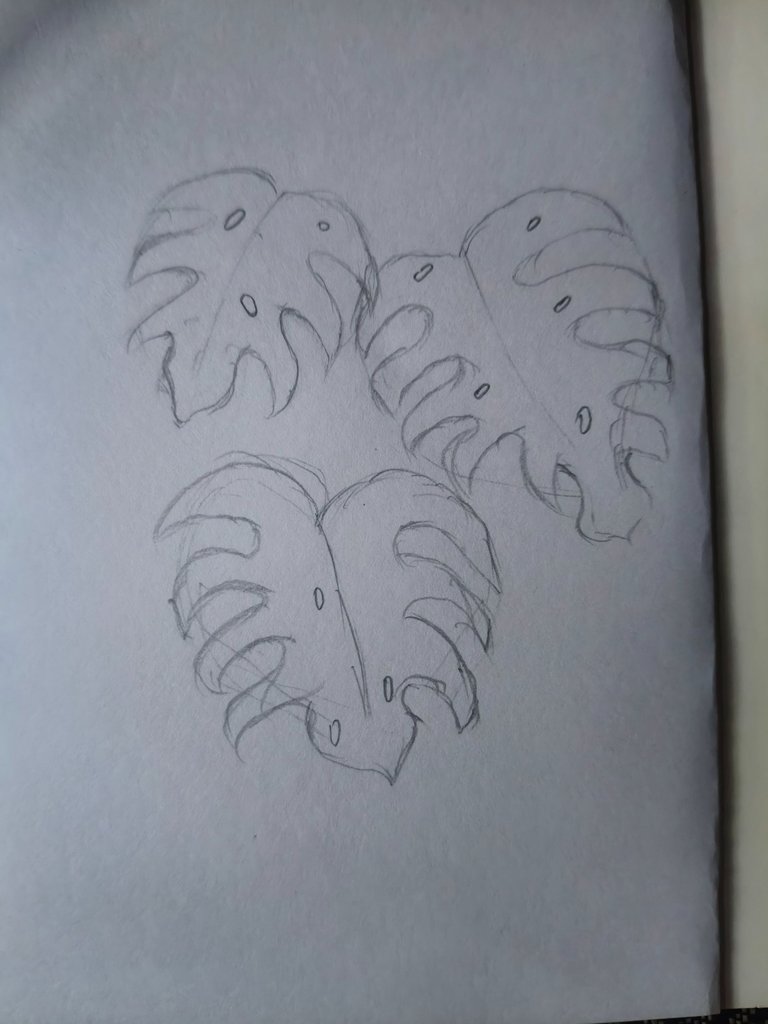 1000262418.jpg