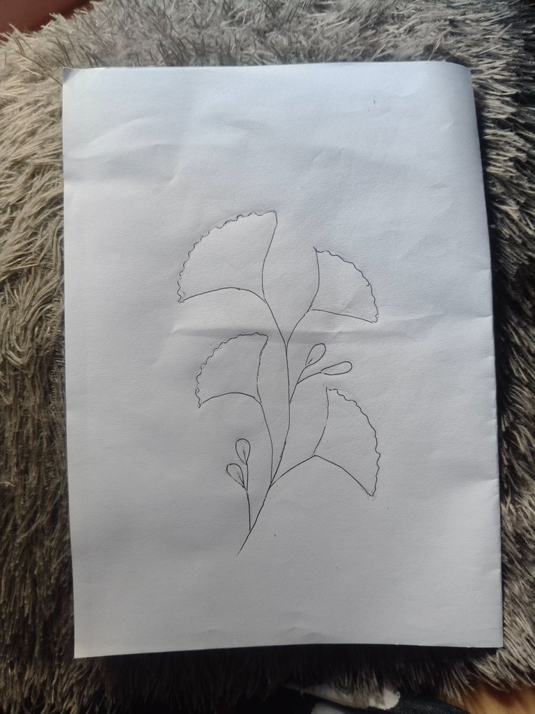 1000239489.jpg
