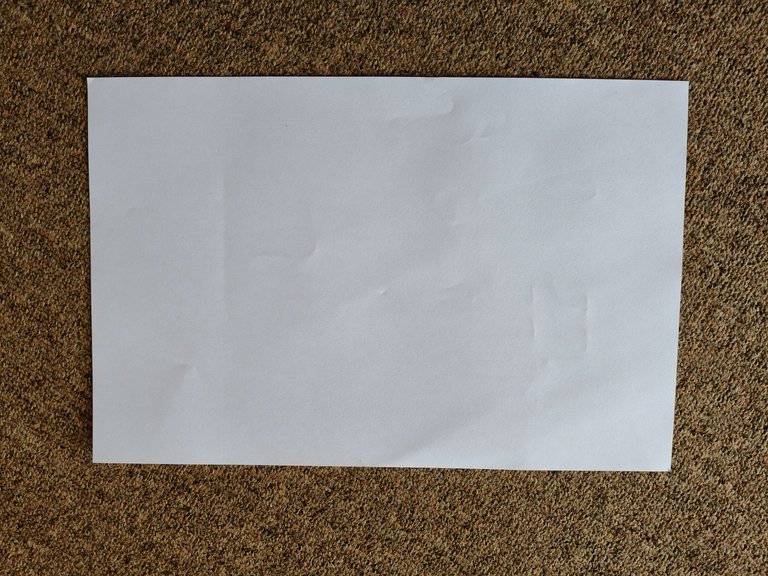1000140183.jpg