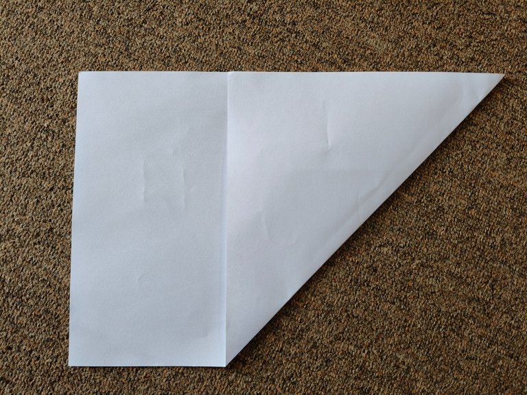 1000140184.jpg
