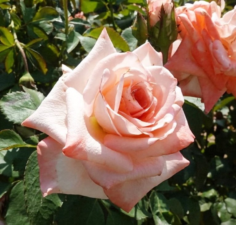JvFFVmatwWHRfvmtd53nmEJ94xpKydwmbSC5H5svBACH7yNhG5RrY2CHWax1rSv5L9f96jza2ZWSV8Qvta1xFRbxirdeHEG8g8VSnbkMjgJUa28uDwXJsGt9Y8ruPSW4LhKG6YZ9x2.jpeg