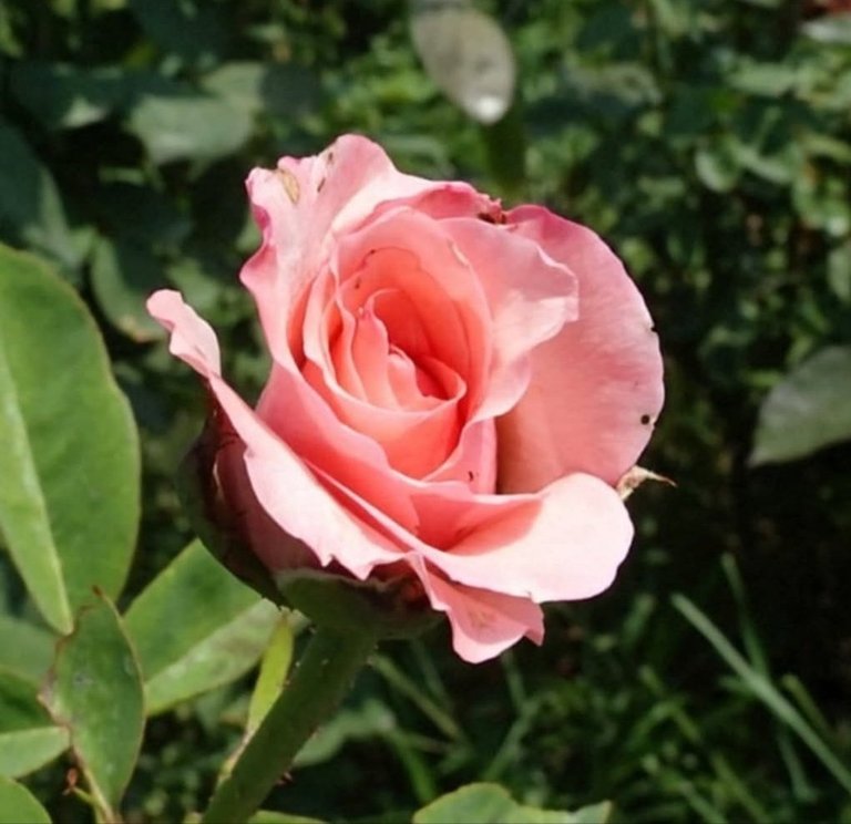 JvFFVmatwWHRfvmtd53nmEJ94xpKydwmbSC5H5svBACH7yFNSrKtugwe2f4FH1zybZNDEcpQgMDcC9W79BsysCQfY51mGFJiJKeHnmK4YeWw4Q4hSUGzEYbrVwCadEbRqjsVDA9qiE.jpeg