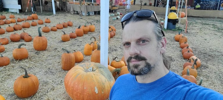 At the DeLuca Farms pumpkin patch that pops up here every year