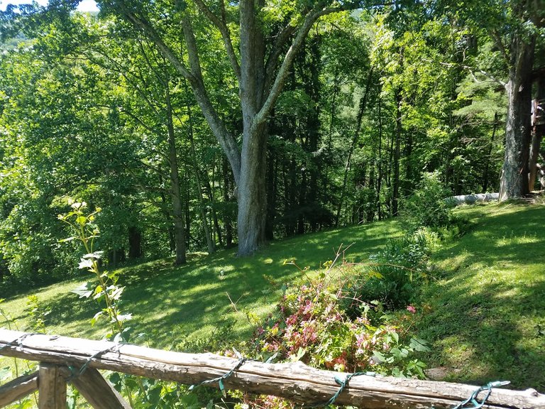 There were some lovely wooded on the grounds of the property