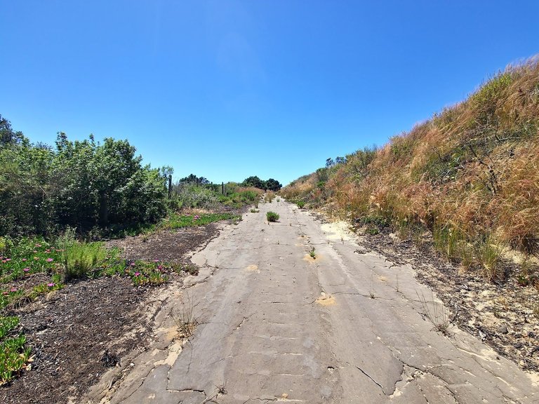 Another section of the road inside of the property