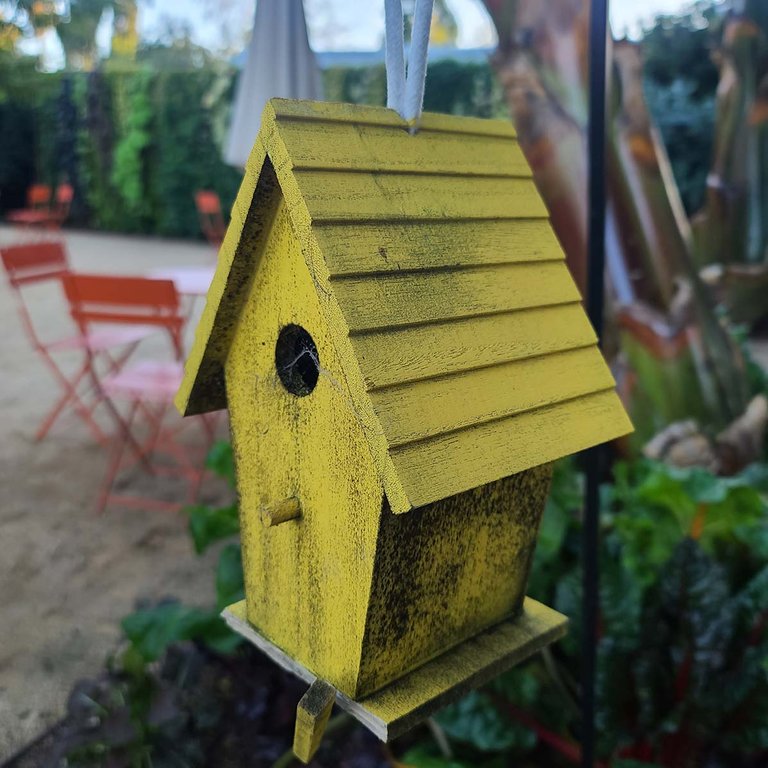 The bird houses have gotten a bit dirty after the storm