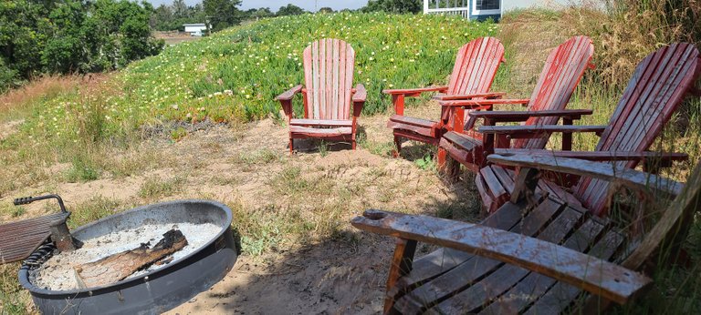 A fire pit with some chairs near the front of the house