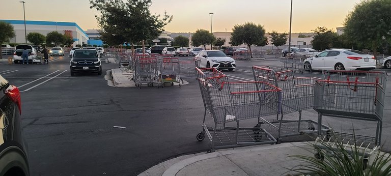 Carts as far as the eye can see