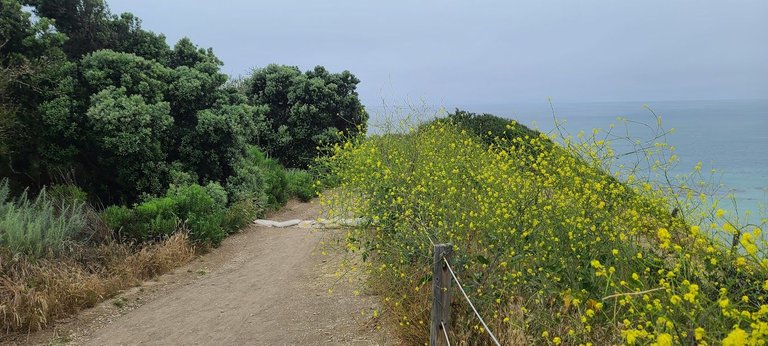 Walking a coasting trail with family in Rancho Palos Verdes