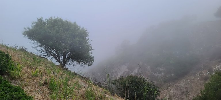 Looking down through the clouds