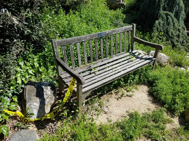 All the benches are taped off to stop people from sitting, but clearly some people just don't care.