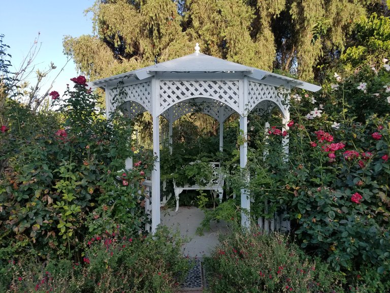 There are several of these around the gardens. People love to take graduation pics and selfies in them.