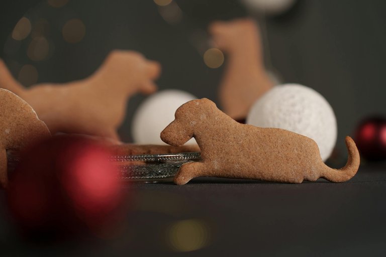 free-photo-of-close-up-of-gingerbread-cookies-in-dog-shapes.jpeg