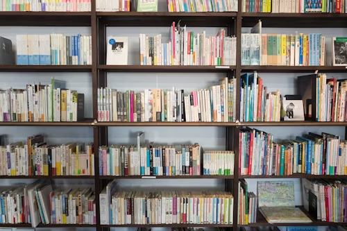 Humanity In Literacy