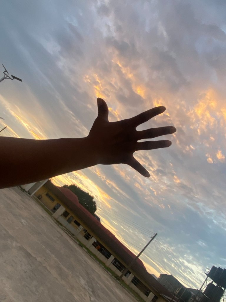 IMG_1418.jpeg
