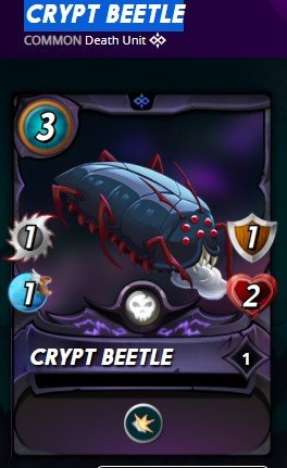 CRYPT BEETLE.jpg