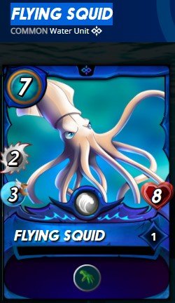 FLYING SQUID.jpg